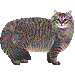 さいべりあん・アイコン