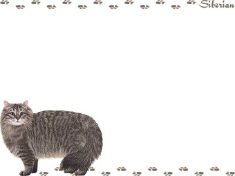 サイベリアンの年賀状／非商用無料イラスト