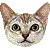 Singapura thumbnail