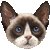 Snowshoe thumbnail