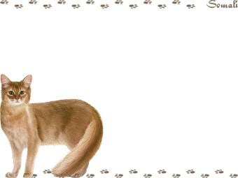 ソマリの年賀状／非商用無料イラスト