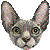 スフィンクスのサムネイル