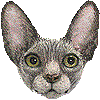 すふぃんくすのあいこん