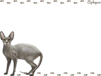 スフィンクス／猫の年賀状／非商用無料イラスト