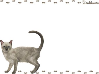 トンキニーズの年賀状／非商用無料イラスト