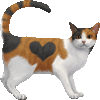 みけねこのあいこん