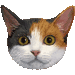 日本猫・アイコン