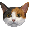 三毛猫・あいこん