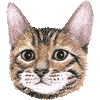 といがーのあいこん