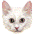 Turkish Angora thumbnail