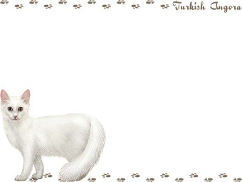 ターキッシュ アンゴラ／トルコ アンゴラの年賀状／非商用無料イラスト