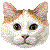Turkish Van thumbnail