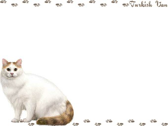 ターキッシュ バンの年賀状／非商用無料イラスト