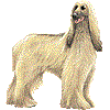 あふがんはうんどのあいこん