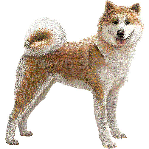 秋田犬のイラスト／条件付フリー素材集