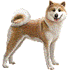あきたいぬのあいこん