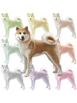 ポスカ・秋田犬／条件付フリー素材