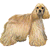 あめりかんこっかーすぱにえるのあいこん