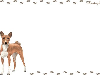 バセンジーの年賀状／非商用無料イラスト