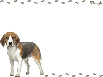 ビーグルの年賀状／非商用無料イラスト
