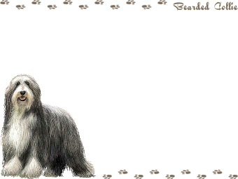 ビアデッド コリーの年賀状／非商用無料イラスト