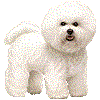 びしょんふりーぜのあいこん