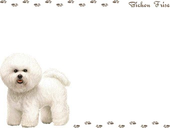 ビション フリーゼの年賀状／非商用無料イラスト