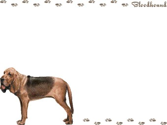 ブラッド ハウンドの年賀状／非商用無料イラスト