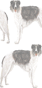 ボルゾイの壁紙／非営利無料イラスト