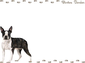 ボストン テリアの年賀状／非商用無料イラスト