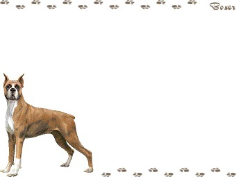 ボクサー／犬の年賀状／非商用無料イラスト