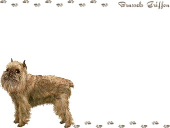 ブリュッセル グリフォンの年賀状／非商用無料イラスト