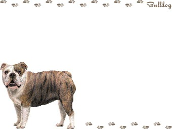 ブルドッグの年賀状／非商用無料イラスト