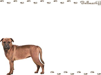 ブル マスティフの年賀状／非商用無料イラスト