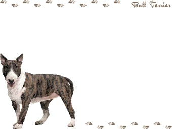 （ミニチュア）ブルテリアの年賀状／非商用無料イラスト