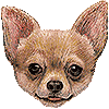 チワワ・あいこん