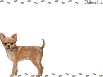 チワワの年賀状／非商用無料イラスト