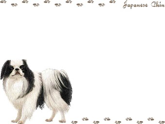 （狆）チンの年賀状／非商用無料イラスト