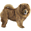 ちゃうちゃうのあいこん