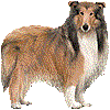 らふこりーのあいこん