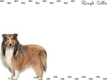 ラフコリー／コリーの年賀状／非商用無料イラスト
