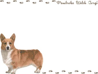 ウェルシュ コーギー ペンブロークの年賀状／非商用無料イラスト