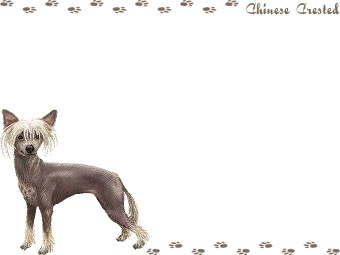 チャイニーズ クレステッド ドッグの年賀状／非商用無料イラスト