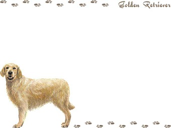 ゴールデン レトリーバーの年賀状／非商用無料イラスト