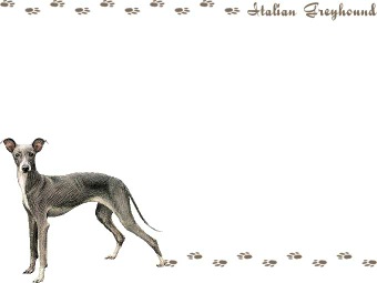 イタリアン グレーハウンド、イタグレの年賀状／非商用無料イラスト