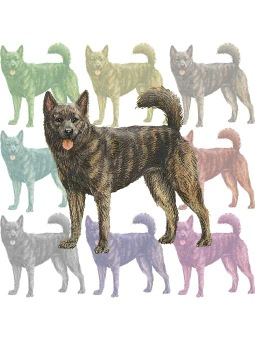 ポスカ・甲斐犬／条件付フリー素材