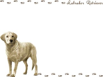 ラブラドール レトリーバーの年賀状／非商用無料イラスト