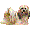 らさあぷそのあいこん