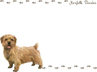 ノーフォーク テリアの年賀状／非商用無料イラスト