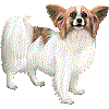 ぱぴよんのあいこん